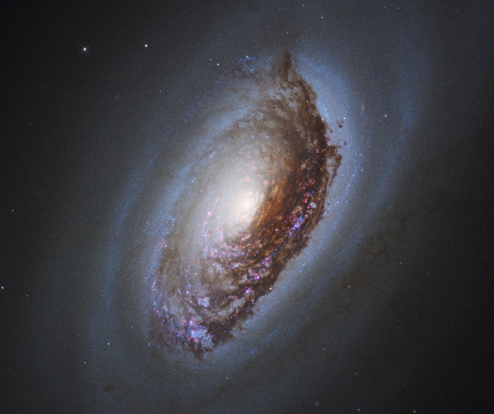 Black Eye Galaxy, a spiral galaxy