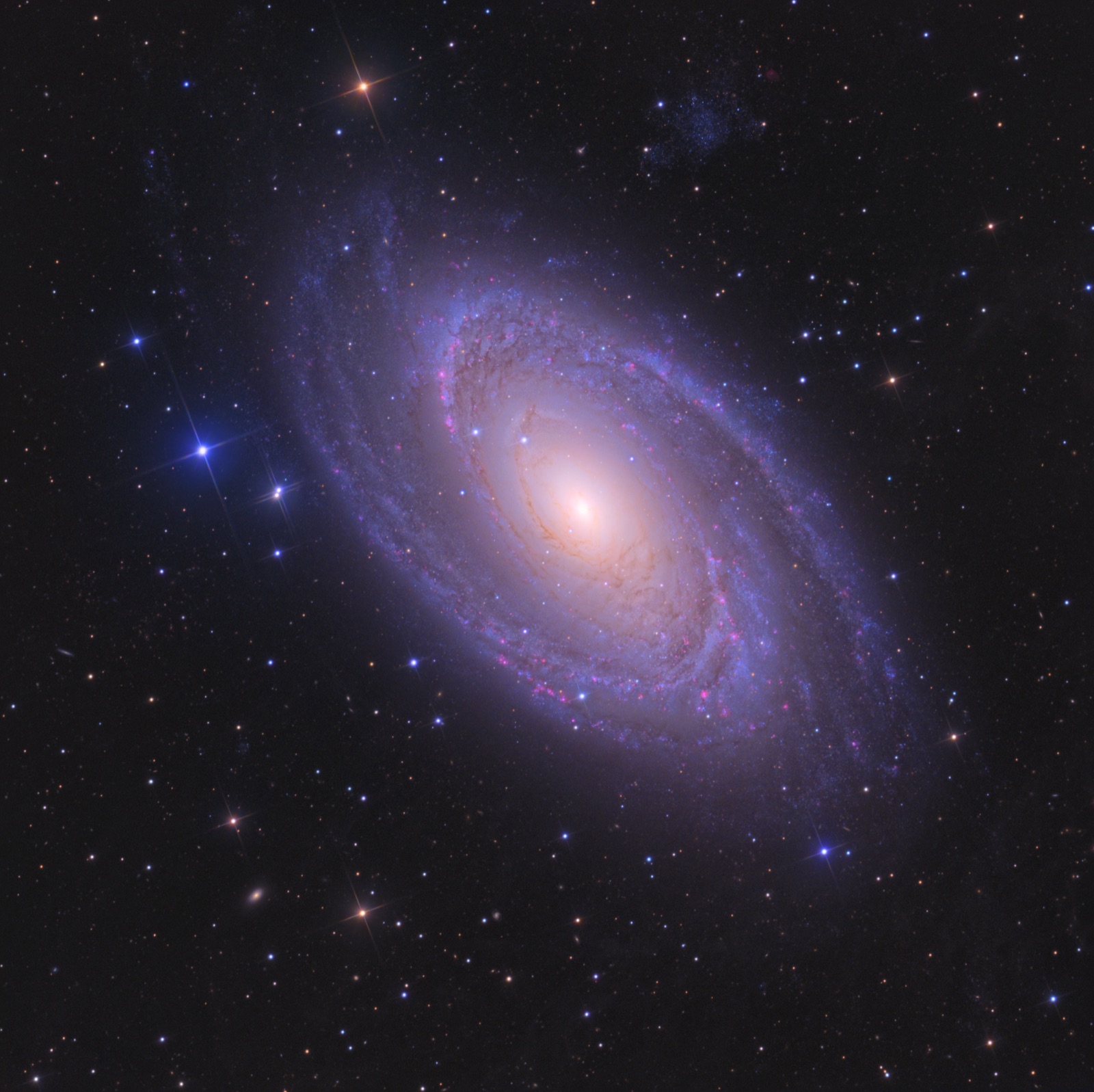 Bode's Galaxy, a spiral galaxy