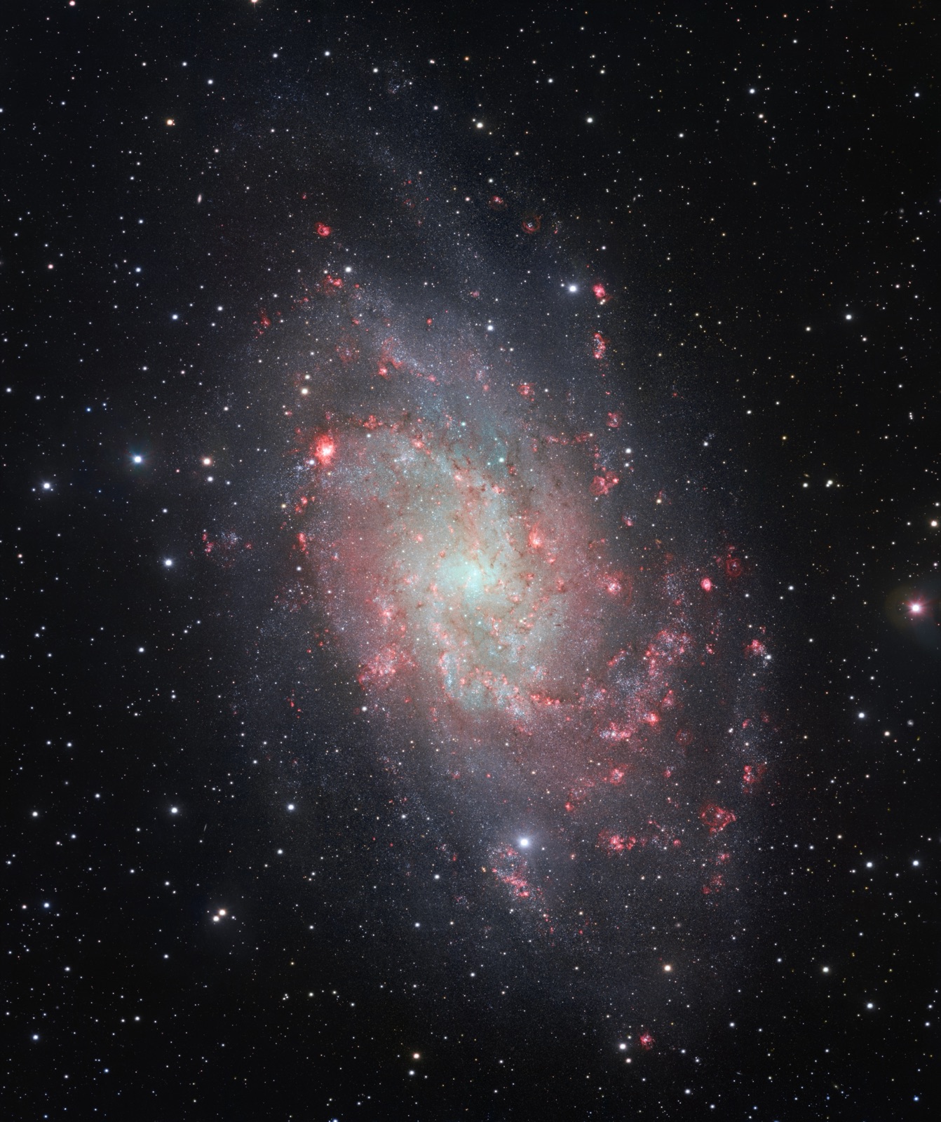 Triangulum Galaxy, a spiral galaxy